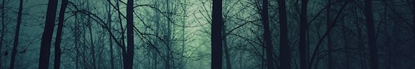 Dark way home