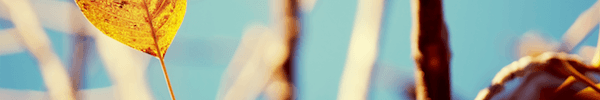 Wallpaper 180