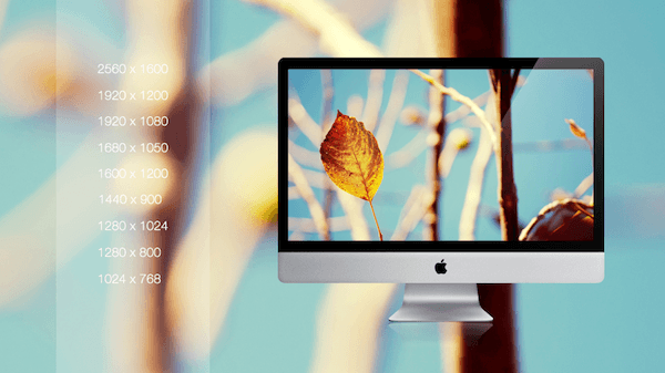 Wallpaper 180