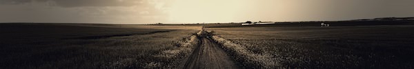 Field Road
