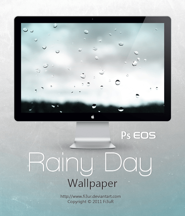 Rainy Day