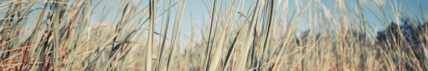 Sand