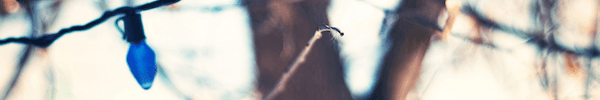 Winter Wallpaper Pack II