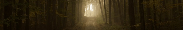 The Road