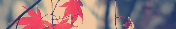 Fall